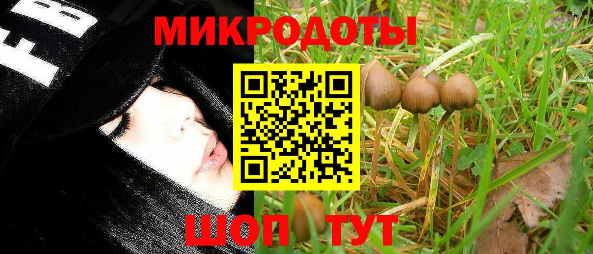 Псилоцибиновые грибы ЛСД  Вход с VPN  Галлюциногенные грибы MAGIC MUSHROOMS  наркота  Петропавловск-Камчатский 